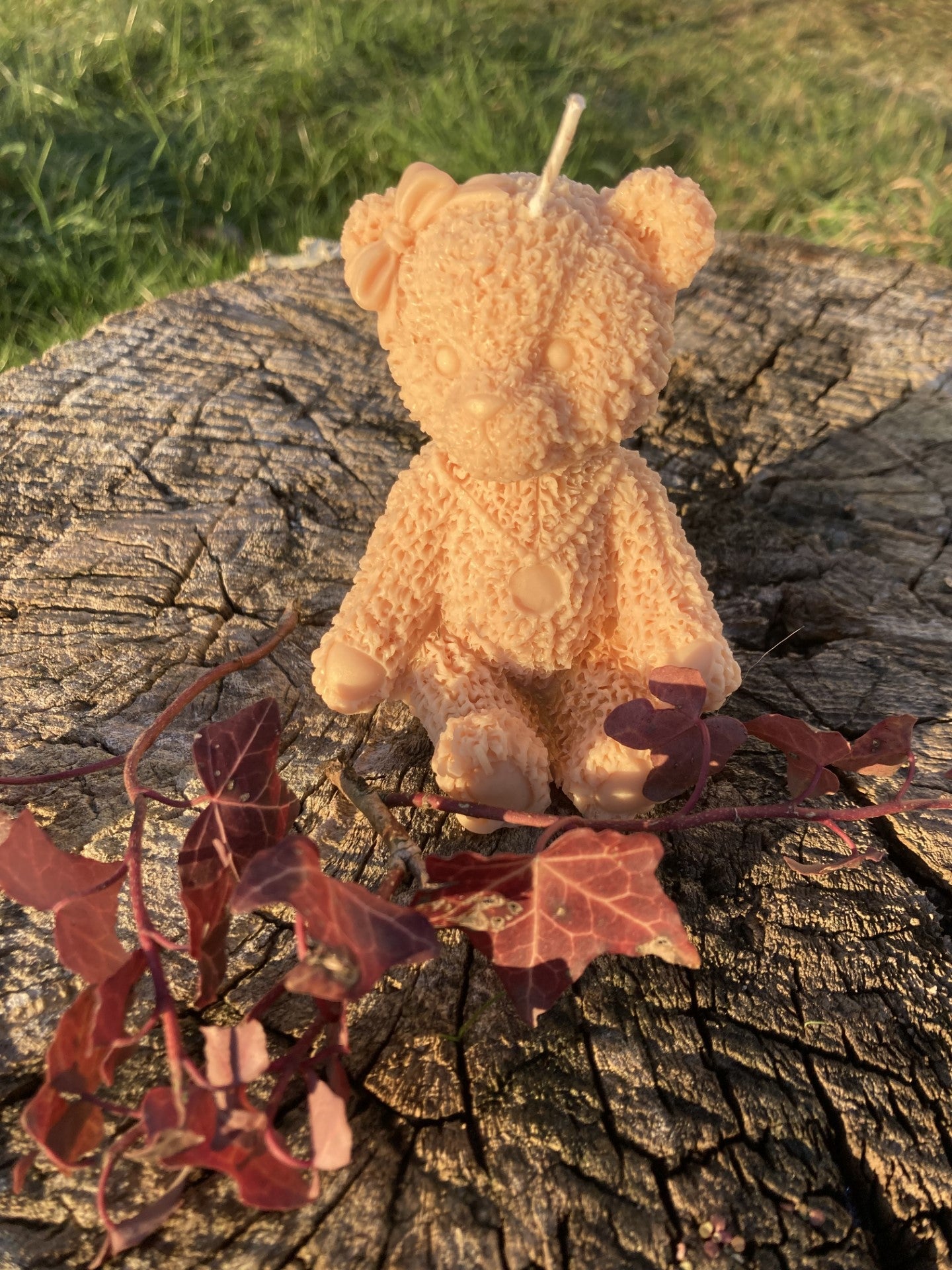 🧸 Ourson - Bougie moulée