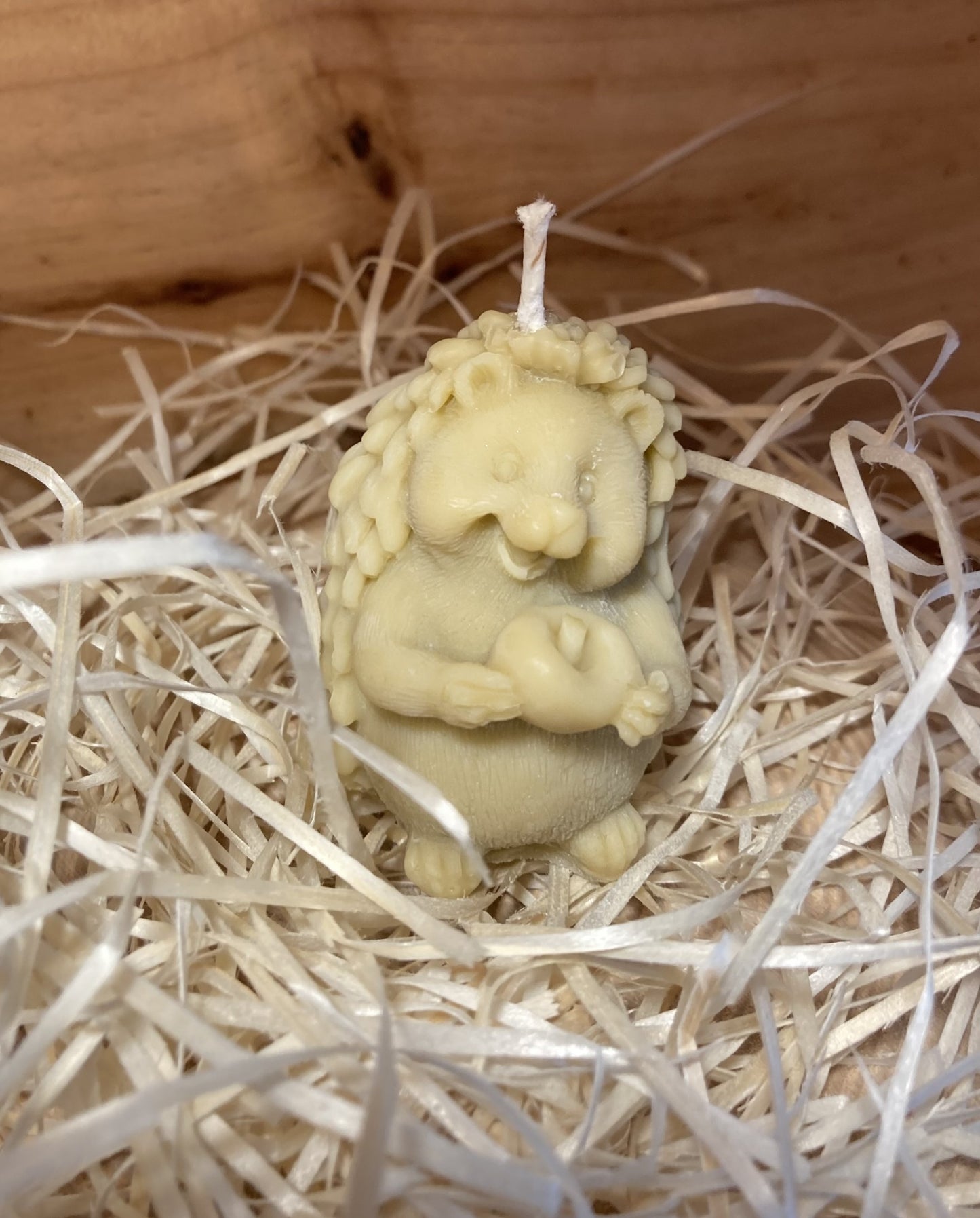 🦔 Hérisson - Bougie Moulée